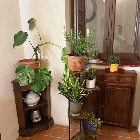 Xenia House Con Terrazza - Cuore Del Centro Storico Di Апартаменты *